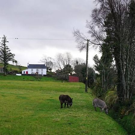 Donegal Town Meenadreen Cottage المظهر الخارجي الصورة