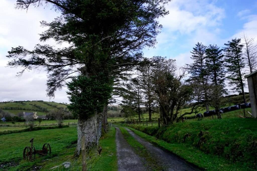 Donegal Town Meenadreen Cottage المظهر الخارجي الصورة