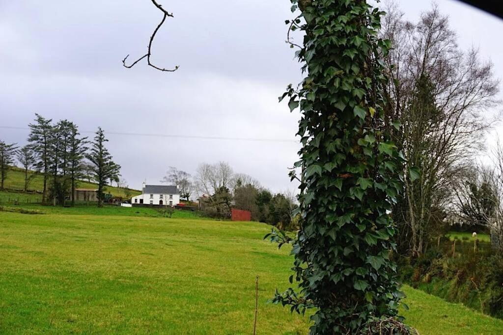 Donegal Town Meenadreen Cottage المظهر الخارجي الصورة