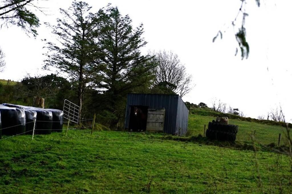 Donegal Town Meenadreen Cottage المظهر الخارجي الصورة