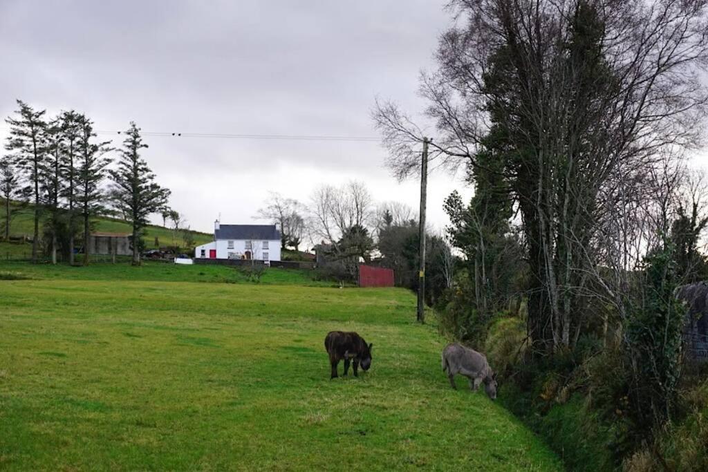 Donegal Town Meenadreen Cottage المظهر الخارجي الصورة